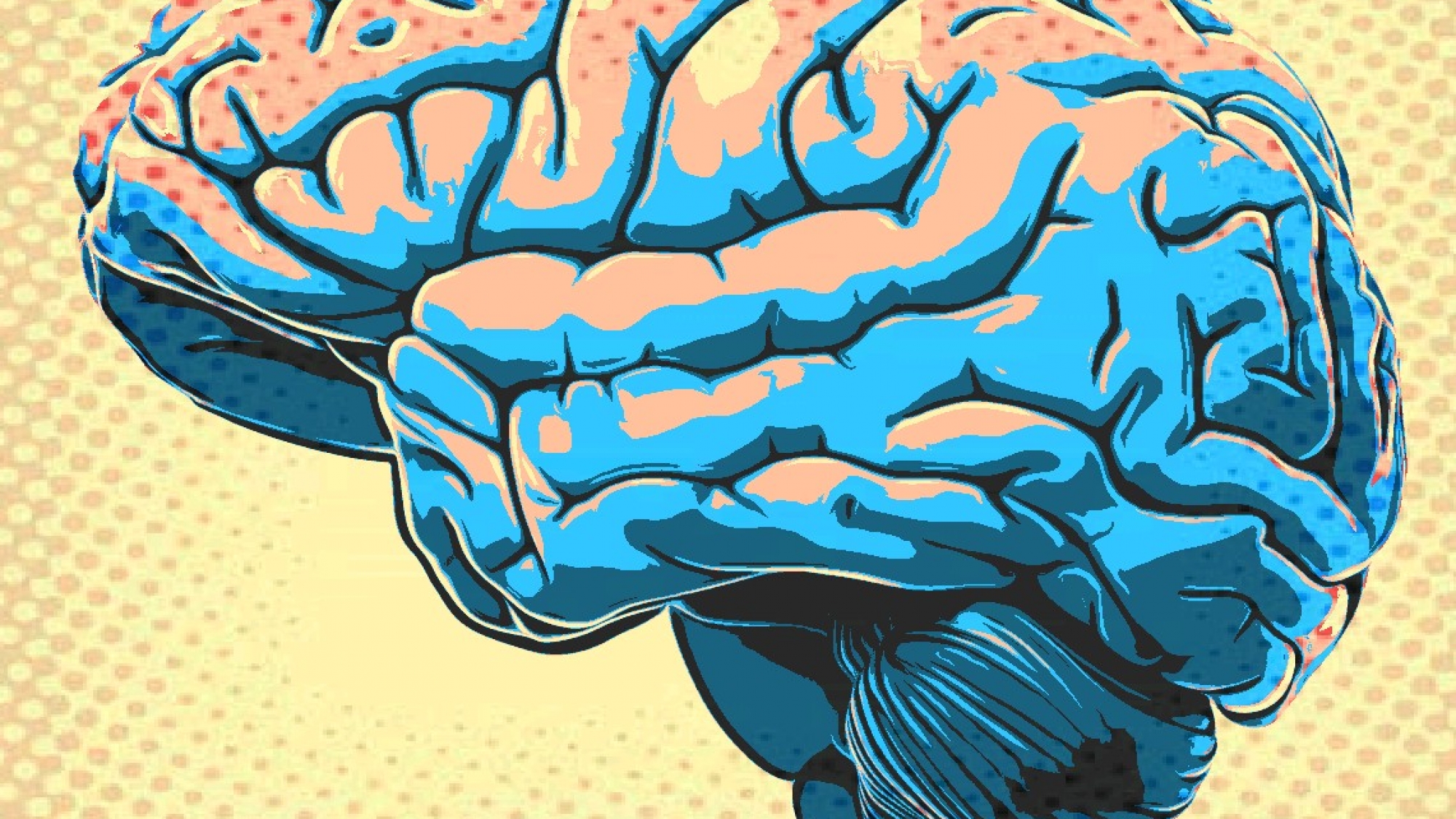 An image of a brain in the style of a cartoon.
